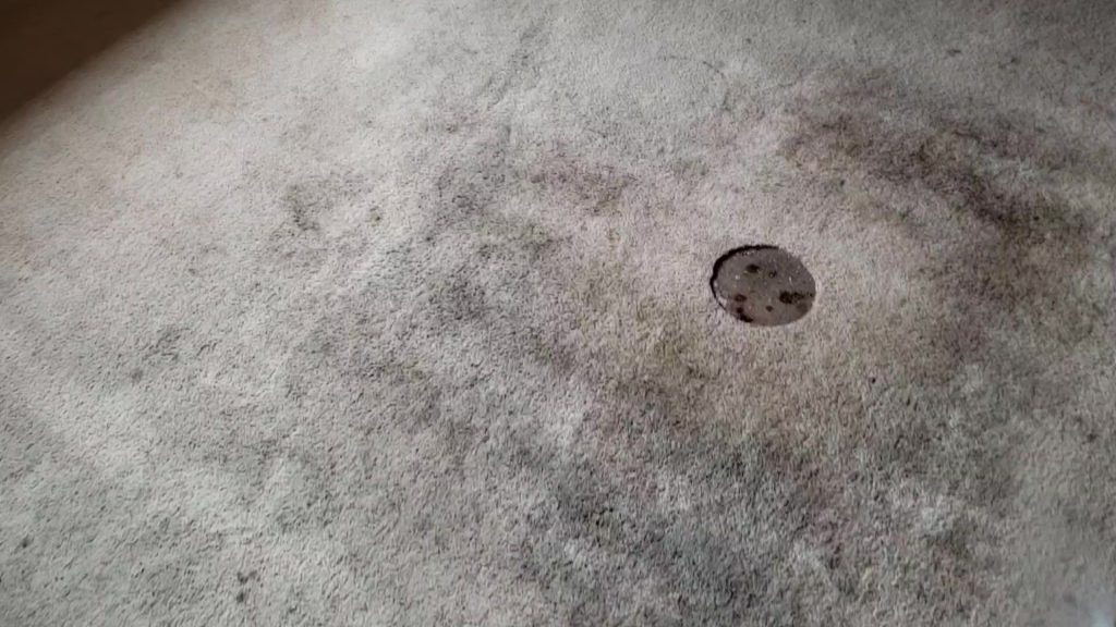 carpet stain removel