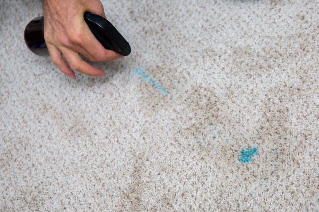  remove grease spots from home carpets